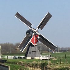 De Buitenwegse en Westbroekse molen in Oud Zuilen